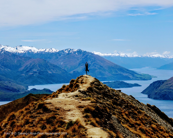 Sabbatical - Auszeit vom beruflichen Alltag (Teil 2) - 7 Monate in die weite Welt_Roys-Peak-Neuseeland-2018_gr 